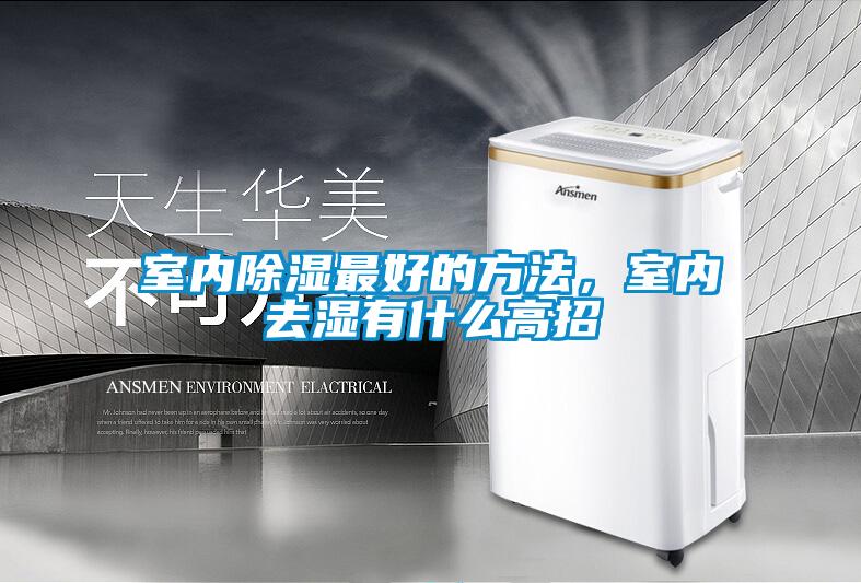 室內(nèi)除濕最好的方法，室內(nèi)去濕有什么高招