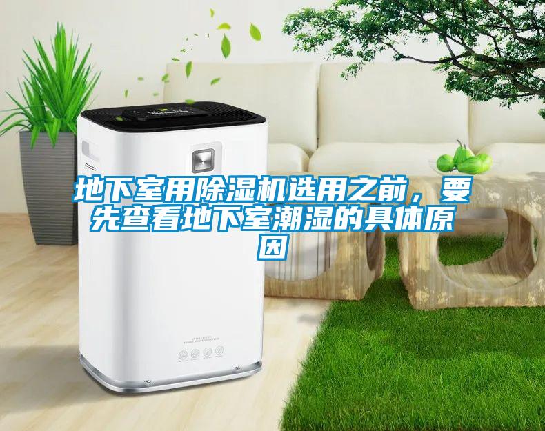 地下室用除濕機選用之前，要先查看地下室潮濕的具體原因