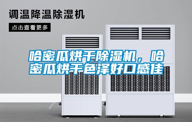 哈密瓜烘干除濕機(jī)，哈密瓜烘干色澤好口感佳