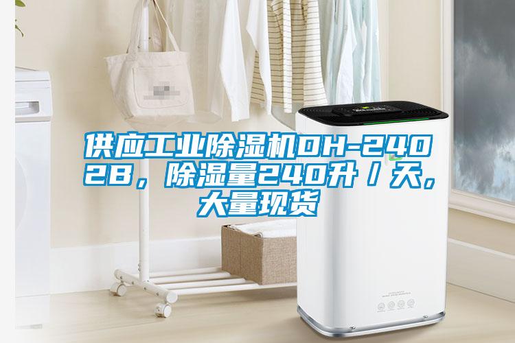 供應(yīng)工業(yè)除濕機(jī)DH-2402B，除濕量240升／天，大量現(xiàn)貨