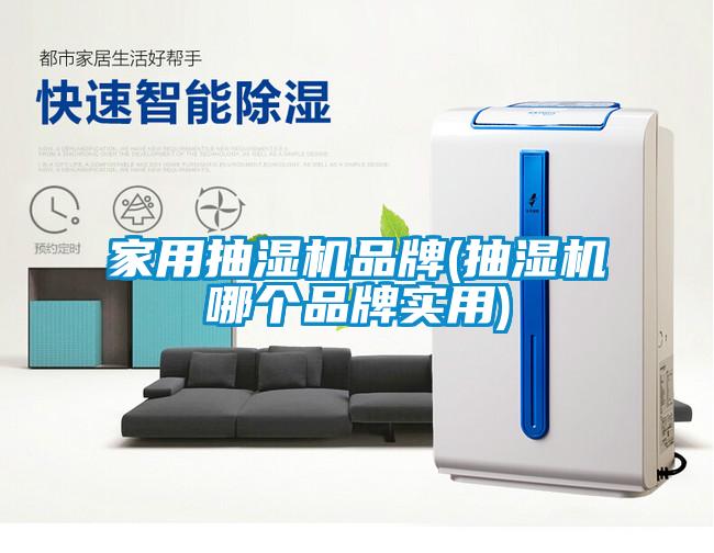 家用抽濕機(jī)品牌(抽濕機(jī)哪個品牌實(shí)用)