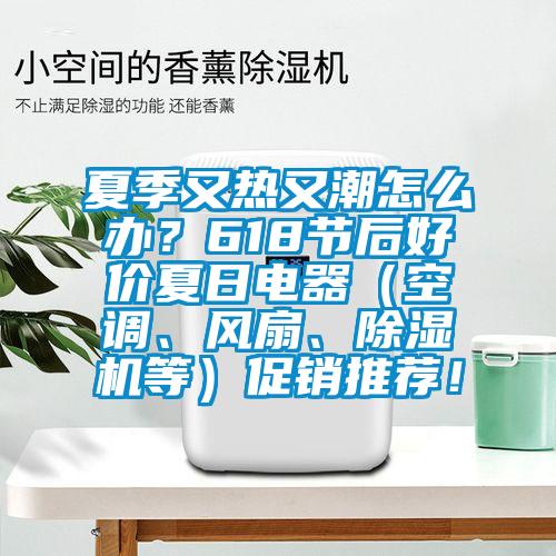 夏季又熱又潮怎么辦？618節后好價夏日電器（空調、風扇、除濕機等）促銷推薦！