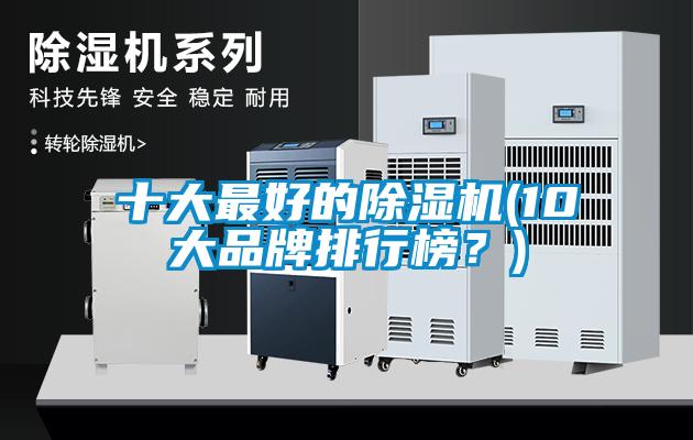 十大最好的除濕機(10大品牌排行榜？)