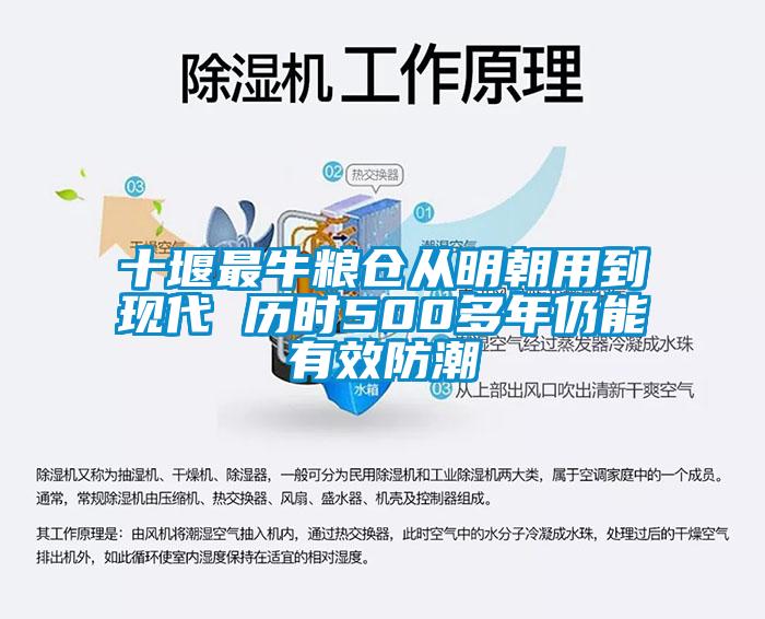 十堰最牛糧倉從明朝用到現(xiàn)代 歷時(shí)500多年仍能有效防潮