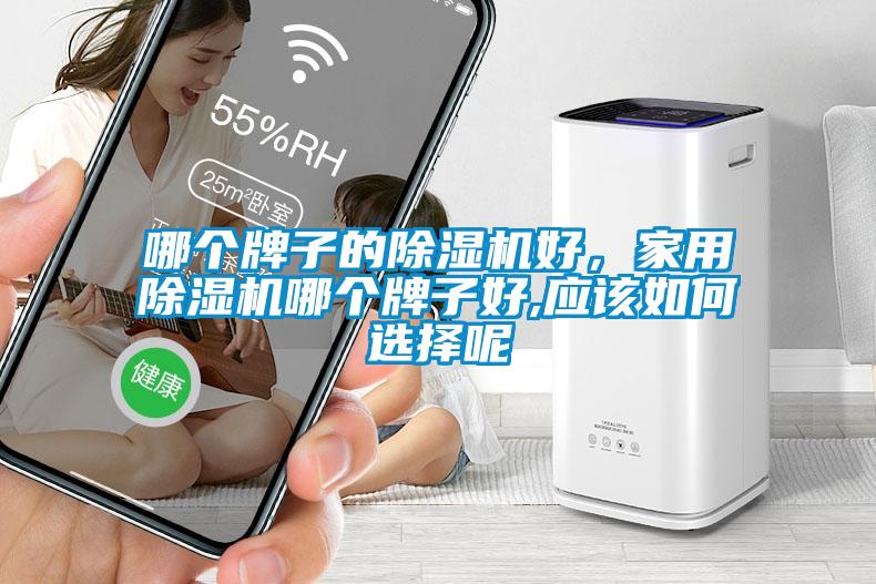 哪個牌子的除濕機好，家用除濕機哪個牌子好,應(yīng)該如何選擇呢