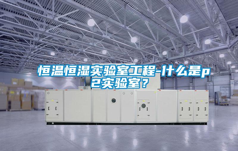 恒溫恒濕實(shí)驗(yàn)室工程-什么是p2實(shí)驗(yàn)室？