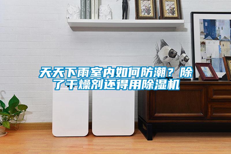 天天下雨室內如何防潮？除了干燥劑還得用除濕機