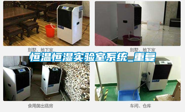 恒溫恒濕實驗室系統(tǒng)_重復(fù)