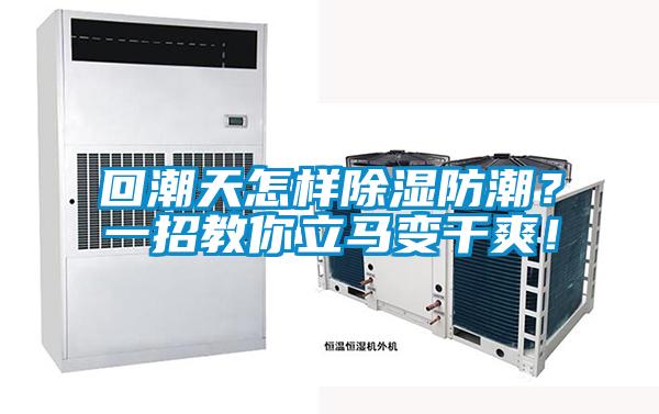 回潮天怎樣除濕防潮？一招教你立馬變干爽！