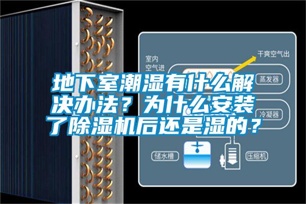 地下室潮濕有什么解決辦法？為什么安裝了除濕機后還是濕的？