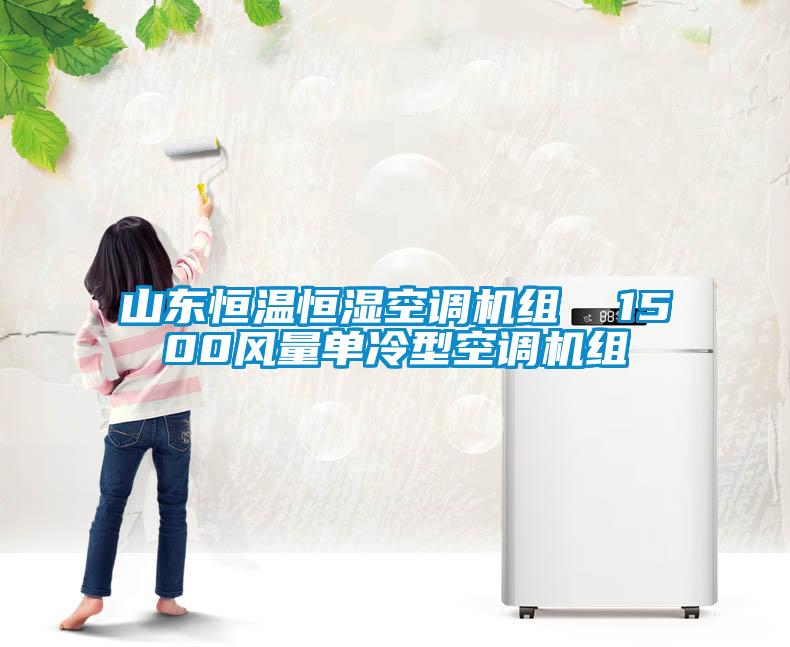 山東恒溫恒濕空調(diào)機組  1500風(fēng)量單冷型空調(diào)機組
