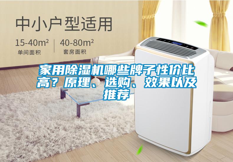 家用除濕機(jī)哪些牌子性價(jià)比高？原理、選購(gòu)、效果以及推薦