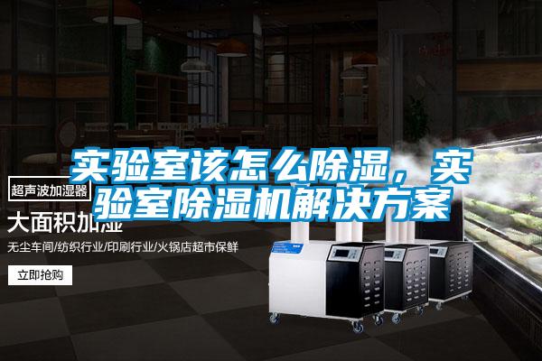 實驗室該怎么除濕，實驗室除濕機解決方案