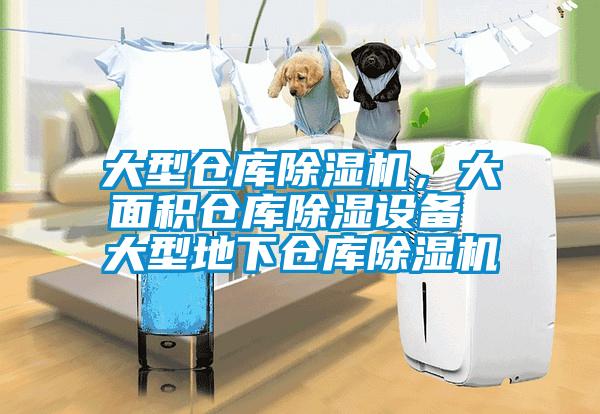 大型倉(cāng)庫(kù)除濕機(jī)，大面積倉(cāng)庫(kù)除濕設(shè)備 大型地下倉(cāng)庫(kù)除濕機(jī)