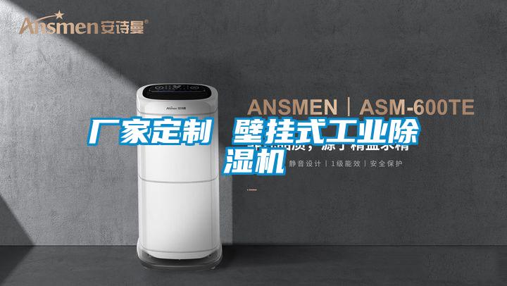 廠家定制 壁掛式工業(yè)除濕機(jī)
