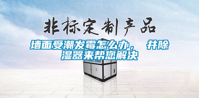 墻面受潮發(fā)霉怎么辦，東井除濕器來幫您解決