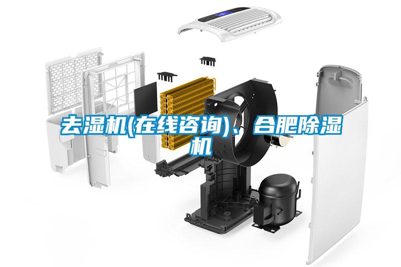去濕機(jī)(在線咨詢)、合肥除濕機(jī)