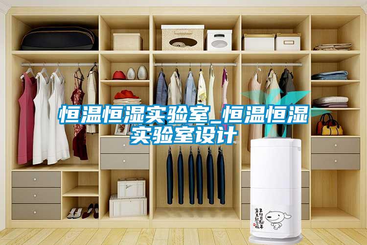 恒溫恒濕實驗室_恒溫恒濕實驗室設(shè)計