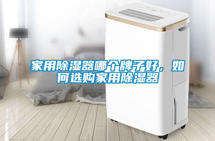 家用除濕器哪個牌子好，如何選購家用除濕器
