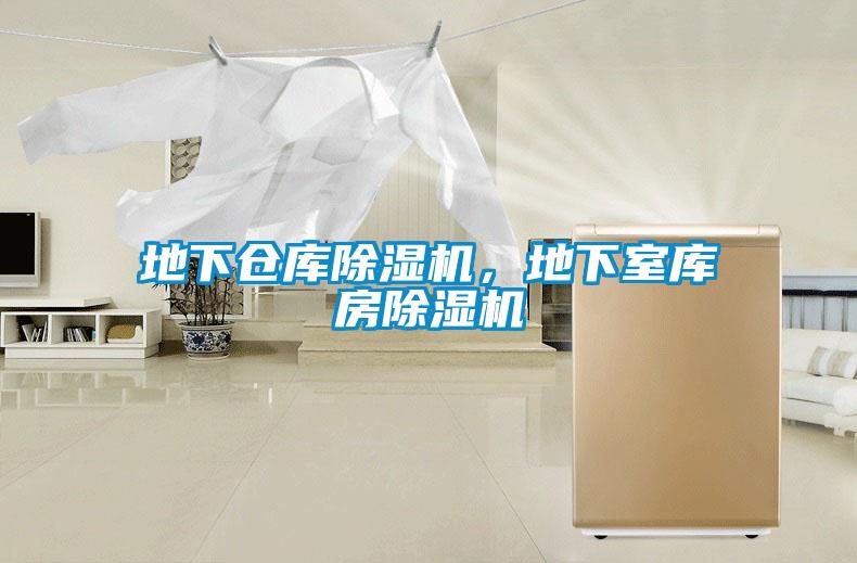 地下倉庫除濕機，地下室?guī)旆砍凉駲C