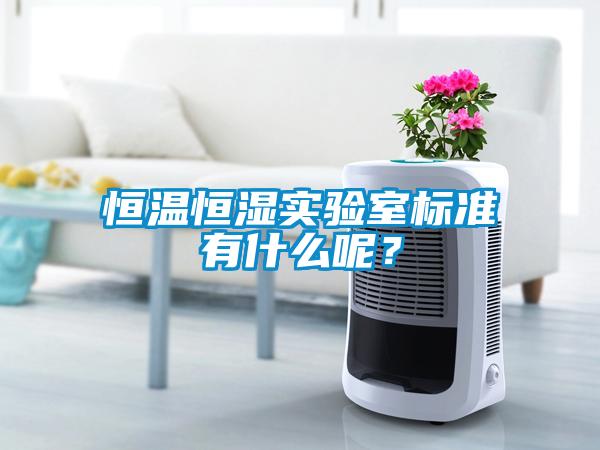 恒溫恒濕實(shí)驗(yàn)室標(biāo)準(zhǔn)有什么呢？