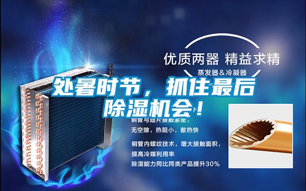 處暑時節，抓住最后除濕機會！