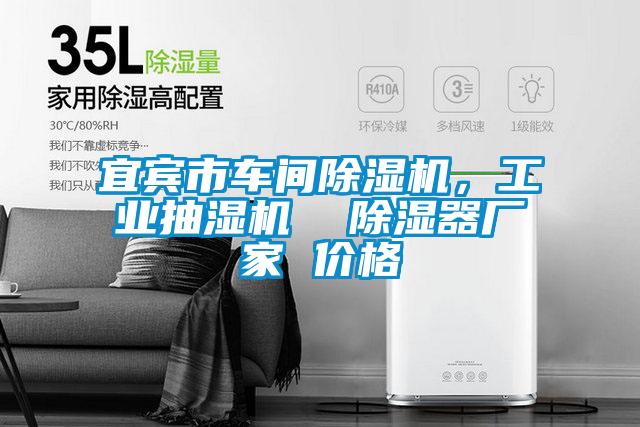 宜賓市車間除濕機(jī)，工業(yè)抽濕機(jī)  除濕器廠家 價(jià)格