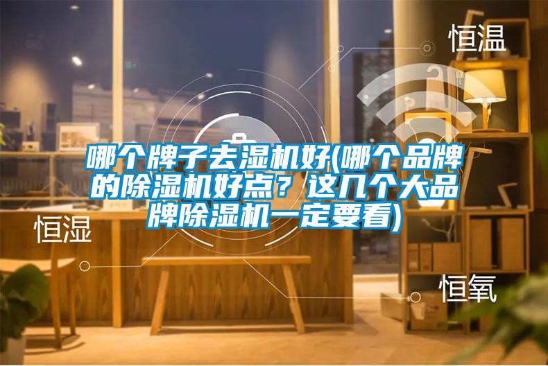 哪個牌子去濕機好(哪個品牌的除濕機好點？這幾個大品牌除濕機一定要看)