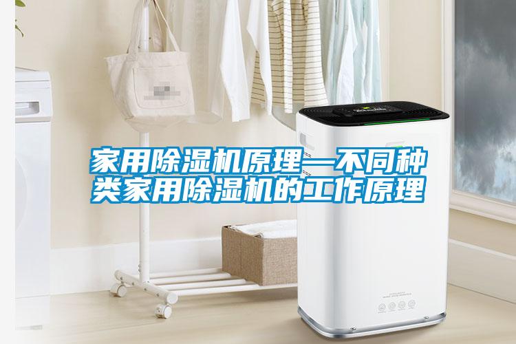 家用除濕機(jī)原理—不同種類(lèi)家用除濕機(jī)的工作原理