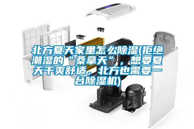 北方夏天家里怎么除濕(拒絕潮濕的“桑拿天”，想要夏天干爽舒適，北方也需要一臺除濕機)