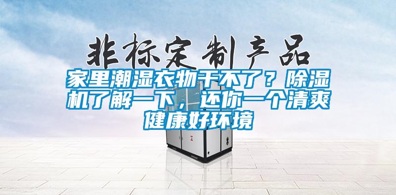 家里潮濕衣物干不了？除濕機了解一下，還你一個清爽健康好環境