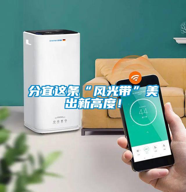 分宜這條“風光帶”美出新高度！
