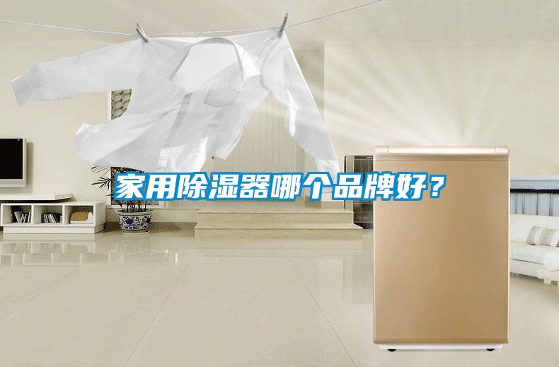 家用除濕器哪個品牌好？