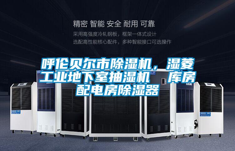 呼倫貝爾市除濕機，濕菱工業地下室抽濕機  庫房配電房除濕器