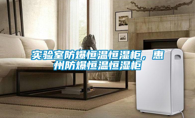 實(shí)驗(yàn)室防爆恒溫恒濕柜，惠州防爆恒溫恒濕柜