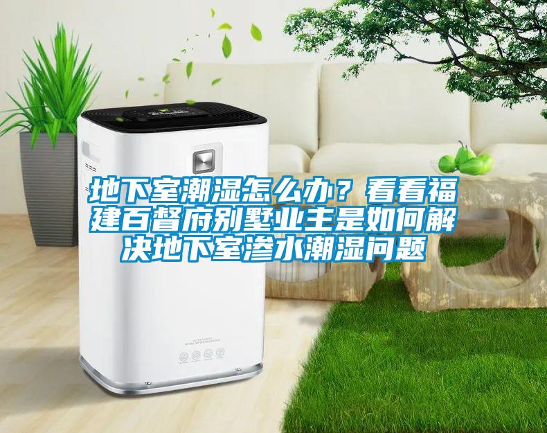 地下室潮濕怎么辦？看看福建百督府別墅業(yè)主是如何解決地下室滲水潮濕問(wèn)題