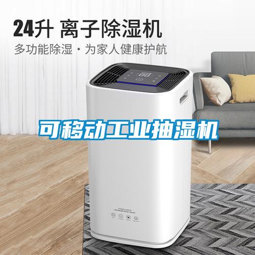 可移動工業(yè)抽濕機(jī)
