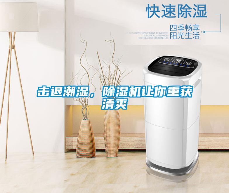擊退潮濕，除濕機讓你重獲清爽