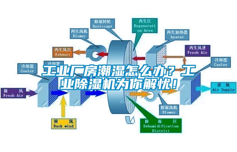 工業廠房潮濕怎么辦？工業除濕機為你解憂！