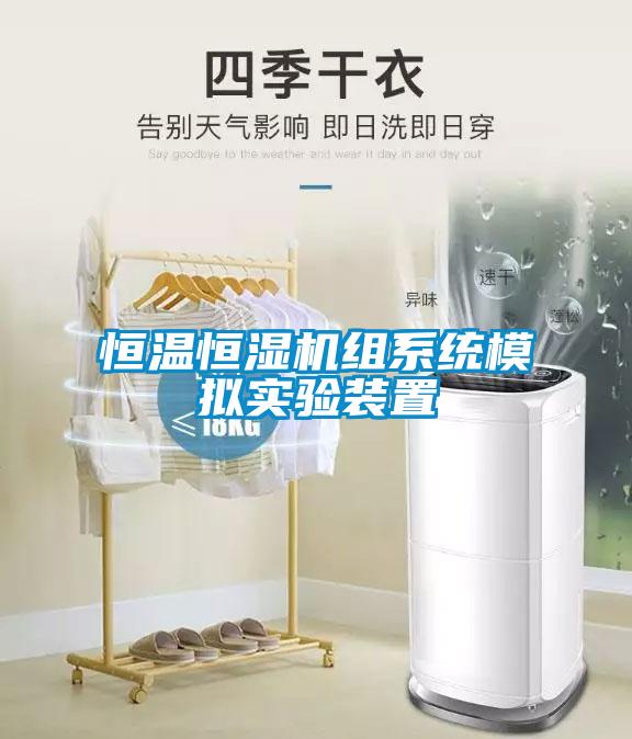 恒溫恒濕機(jī)組系統(tǒng)模擬實(shí)驗(yàn)裝置