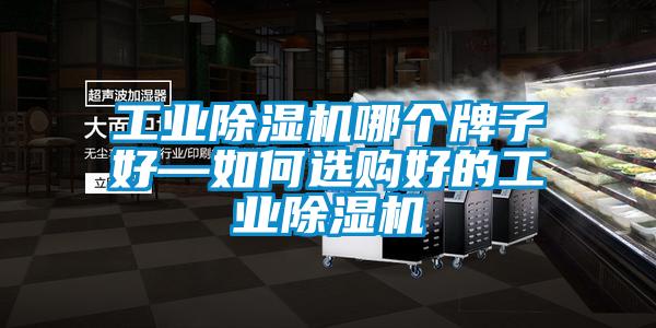 工業(yè)除濕機(jī)哪個(gè)牌子好—如何選購(gòu)好的工業(yè)除濕機(jī)