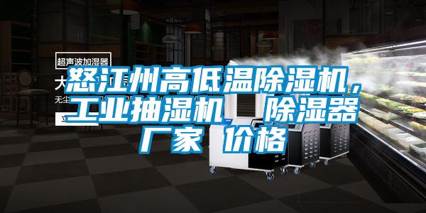 怒江州高低溫除濕機，工業抽濕機  除濕器廠家 價格