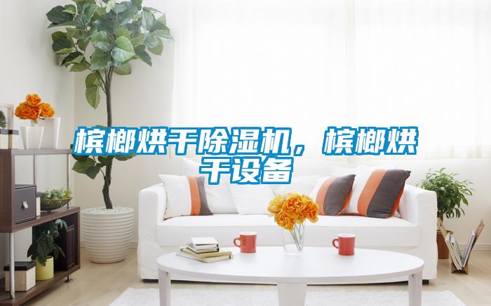 檳榔烘干除濕機，檳榔烘干設備