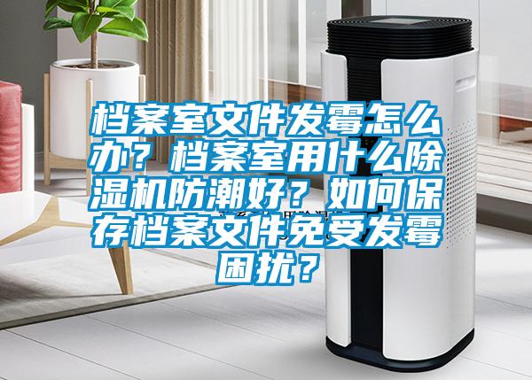 檔案室文件發霉怎么辦？檔案室用什么除濕機防潮好？如何保存檔案文件免受發霉困擾？
