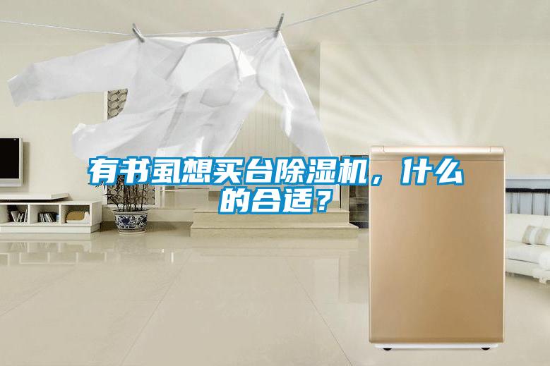 有書虱想買臺除濕機，什么的合適？