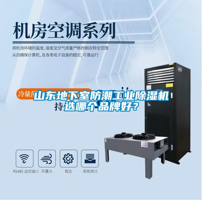 山東地下室防潮工業除濕機選哪個品牌好？