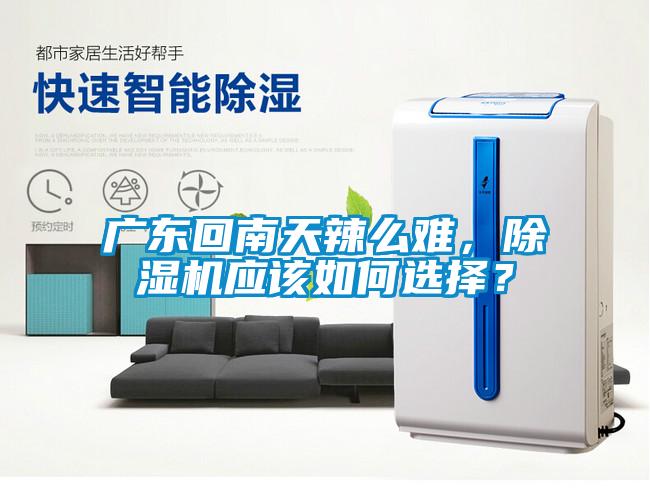 廣東回南天辣么難，除濕機應該如何選擇？