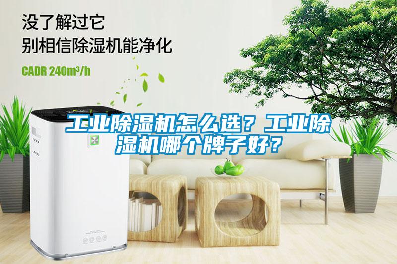 工業(yè)除濕機(jī)怎么選？工業(yè)除濕機(jī)哪個牌子好？