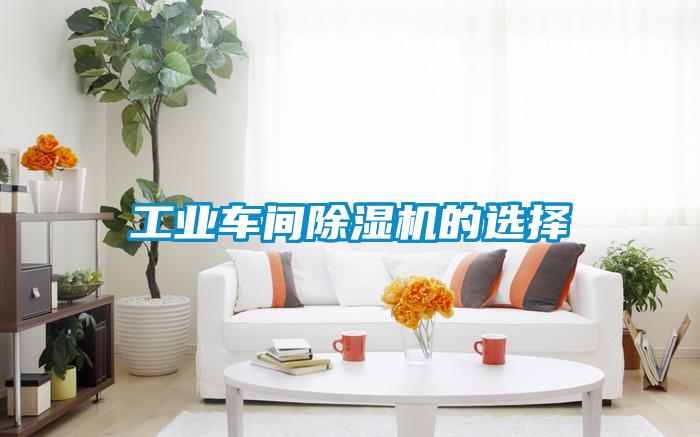 工業(yè)車(chē)間除濕機(jī)的選擇
