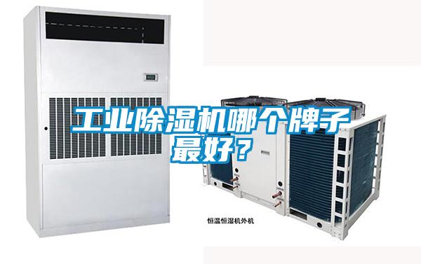 工業除濕機哪個牌子最好？